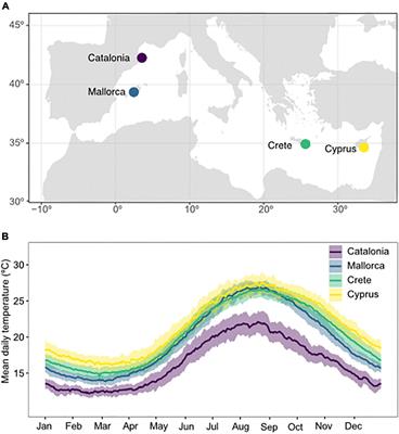 Thermal Performance of Seaweeds and Seagrasses Across a Regional Climate Gradient